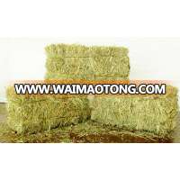 Top Quality Hays/Alfalfa Hay/Timothy Hay