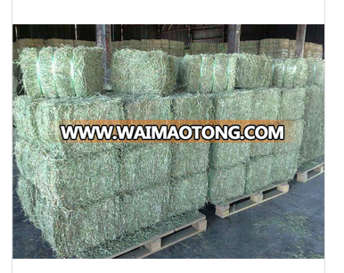 High Quality Alfalfa Hay