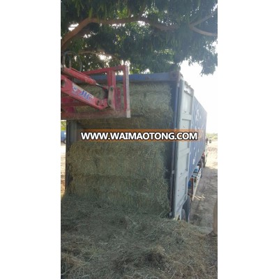 Rhodes Grass (Big Bales)