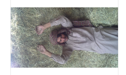 High Quality Rhodes Grass